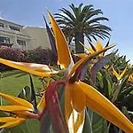Hotel Alpino Atlantico Ayurveda Cure Centre - Adults Only