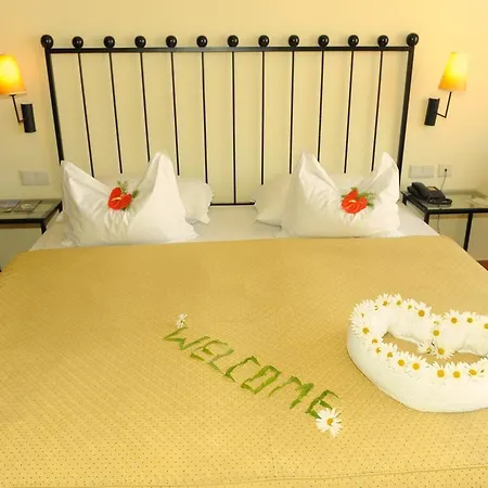 Hotell Alpino Atlantico Ayurveda Cure Centre - Adults Only 4*