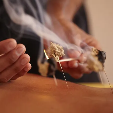 Alpino Atlantico Ayurveda Cure Centre - Adults Only Hotell 4*