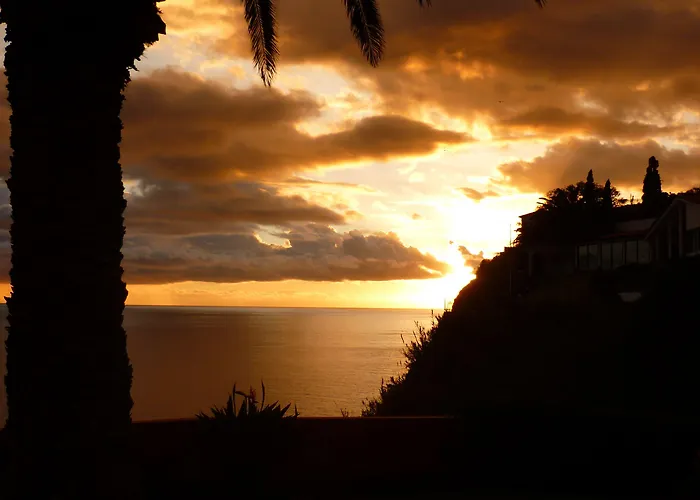 Alpino Atlantico Ayurveda Cure Centre - Adults Only 4* Caniço