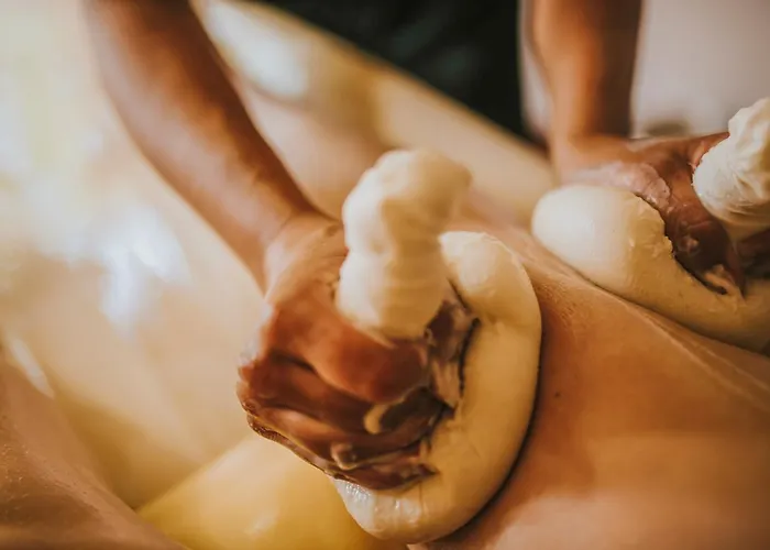 Alpino Atlantico Ayurveda Cure Centre - Adults Only 酒店 卡尼索