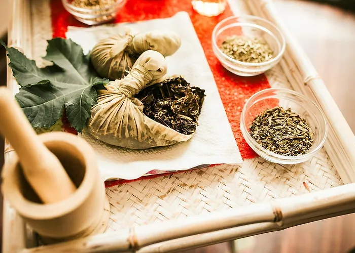 Alpino Atlantico Ayurveda Cure Centre - Adults Only 卡尼索