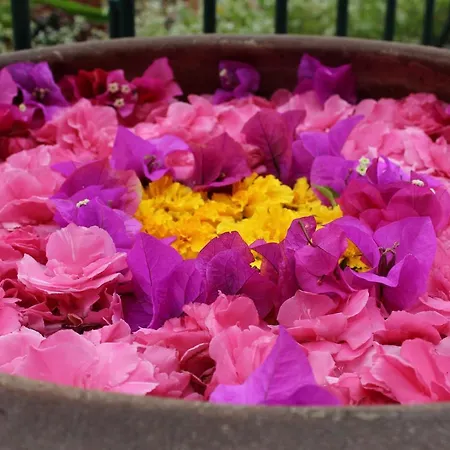 Alpino Atlantico Ayurveda Cure Centre - Adults Only Hotel