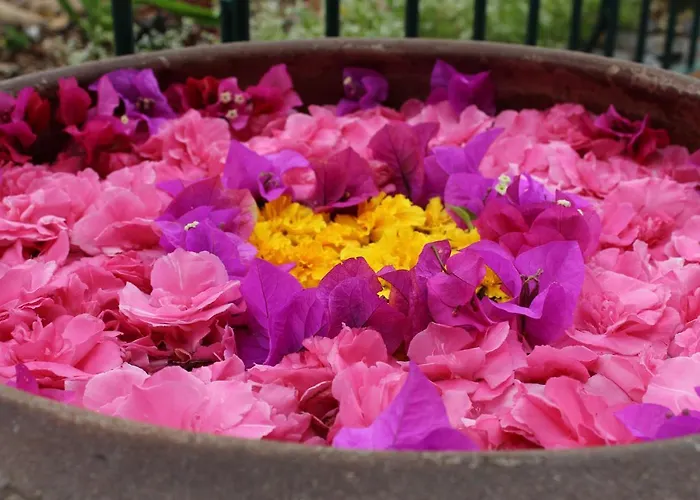 Alpino Atlantico Ayurveda Cure Centre - Adults Only Hotel